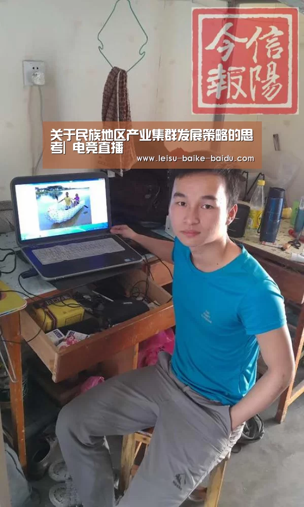 关于民族地区产业集群发展策略的思考| 电竞直播(图3) 体育资讯