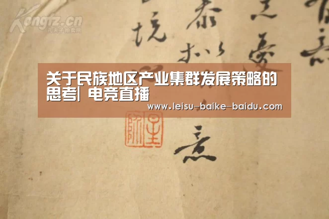 关于民族地区产业集群发展策略的思考| 电竞直播(图2) 体育资讯