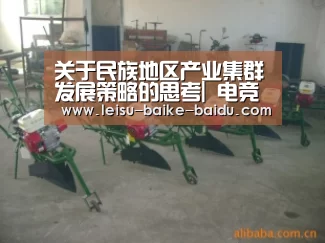 关于民族地区产业集群发展策略的思考| 电竞直播(图4) 比分直播