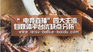 “ 电竞直播”四大主流自媒体平台优缺点分析(图1) 雷速体育