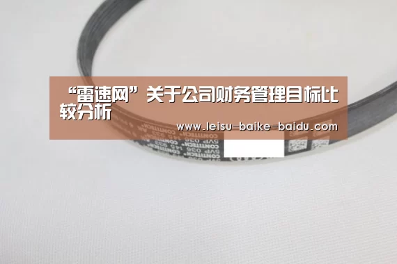 “雷速网”关于公司财务管理目标比较分析(图3) 体育资讯