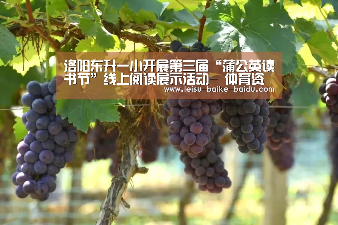  电竞直播