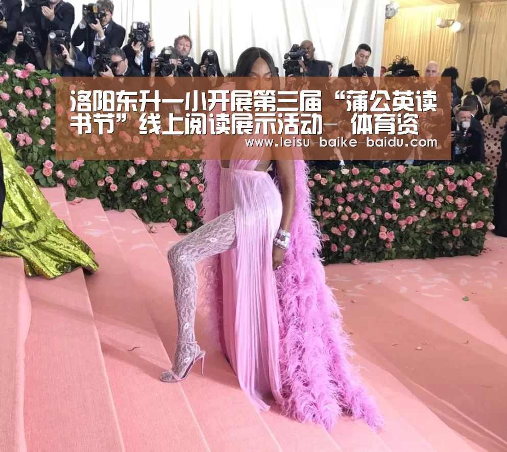  体育比分