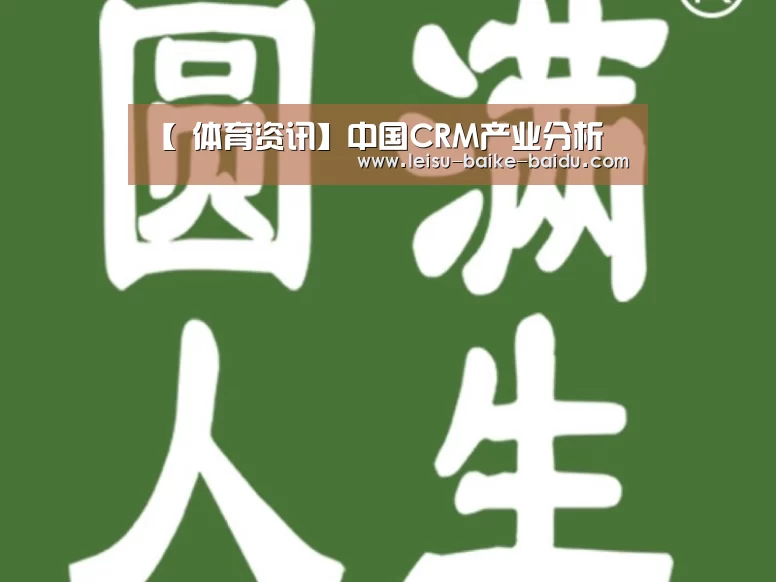 【 体育资讯】中国CRM产业分析(图4) 雷速网